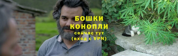 прущие грибы Зеленокумск