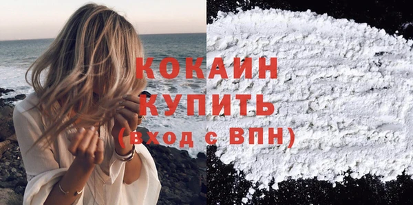 прущие грибы Зеленокумск