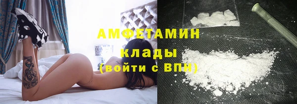 прущие грибы Зеленокумск