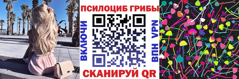 Купить где  Курлово  Галлюциногенные грибы мицелий 